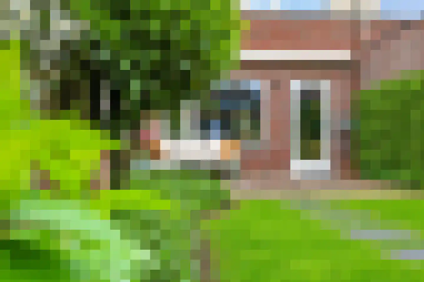 Kruidenstraat 47 Bemmel thumbnail 35