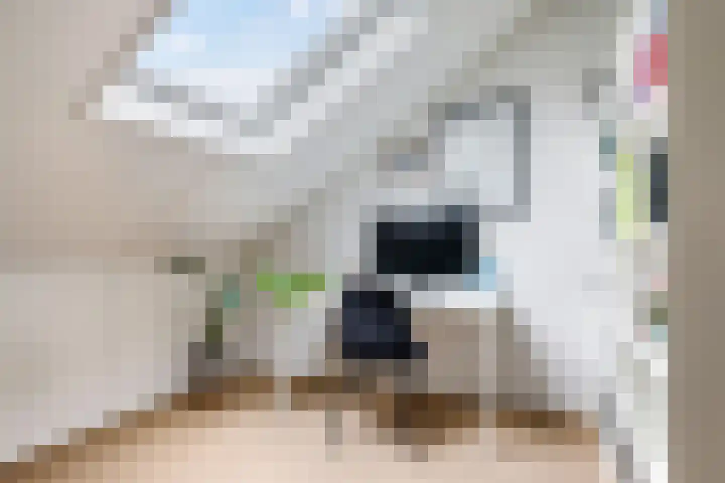 Kruidenstraat 47 Bemmel thumbnail 50