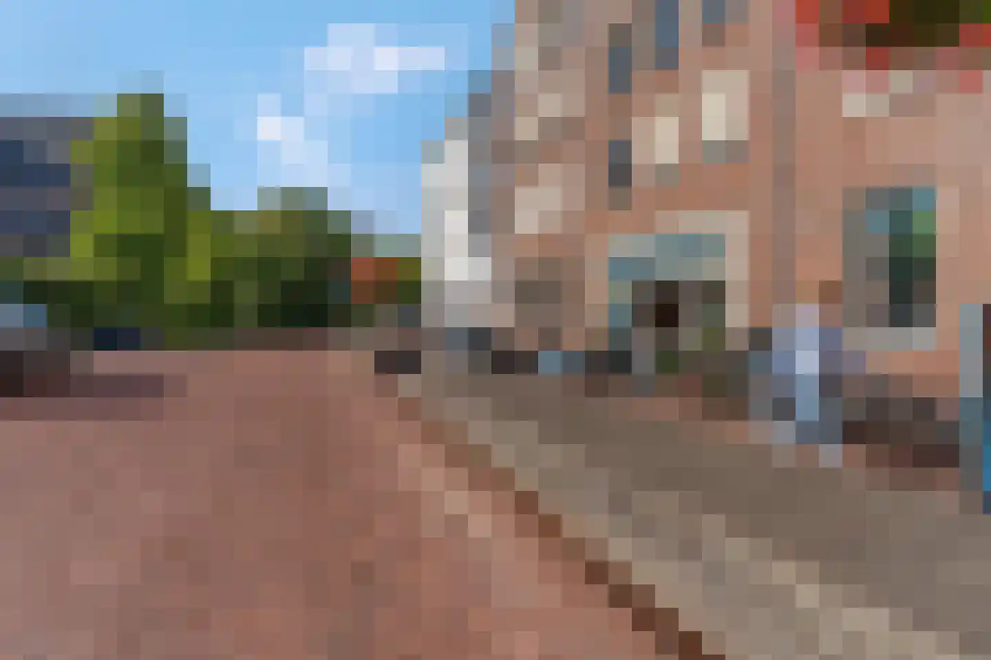 Kruidenstraat 47 Bemmel thumbnail 58