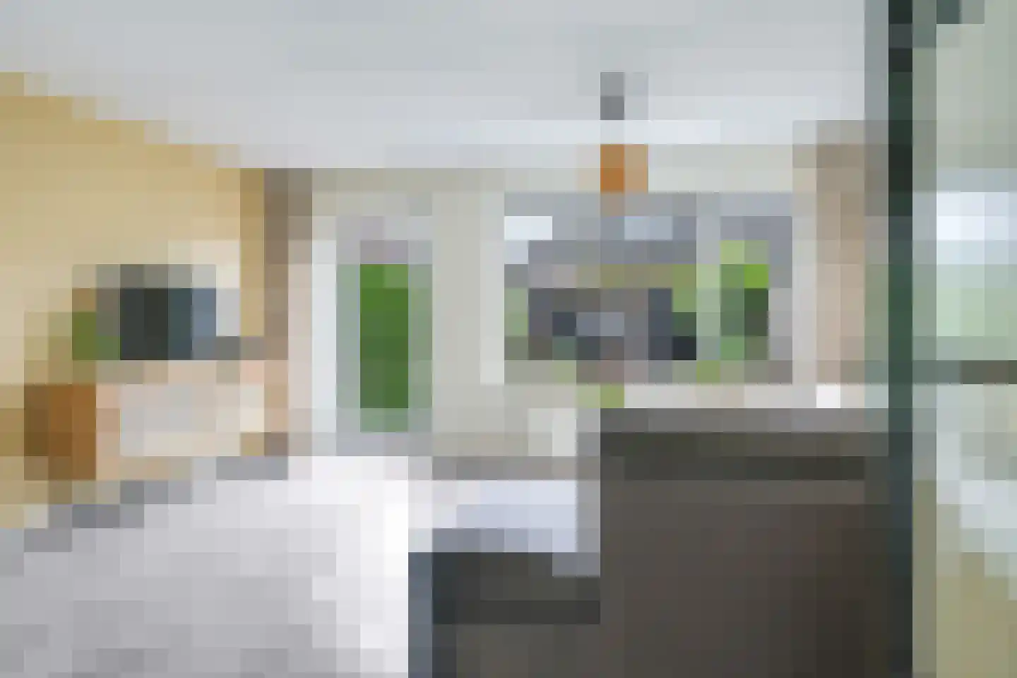 Kruidenstraat 47 Bemmel thumbnail 9