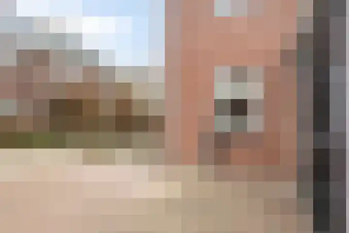 Kruidenstraat 56 Nijmegen thumbnail 6