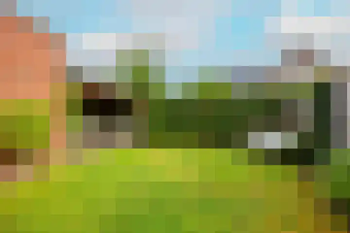 Kruidenstraat 92 Nijmegen thumbnail 33