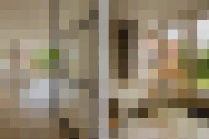 Kruidenstraat 92 Nijmegen thumbnail 5