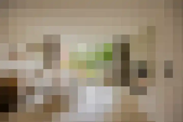 Kruidenstraat 92 Nijmegen thumbnail 8