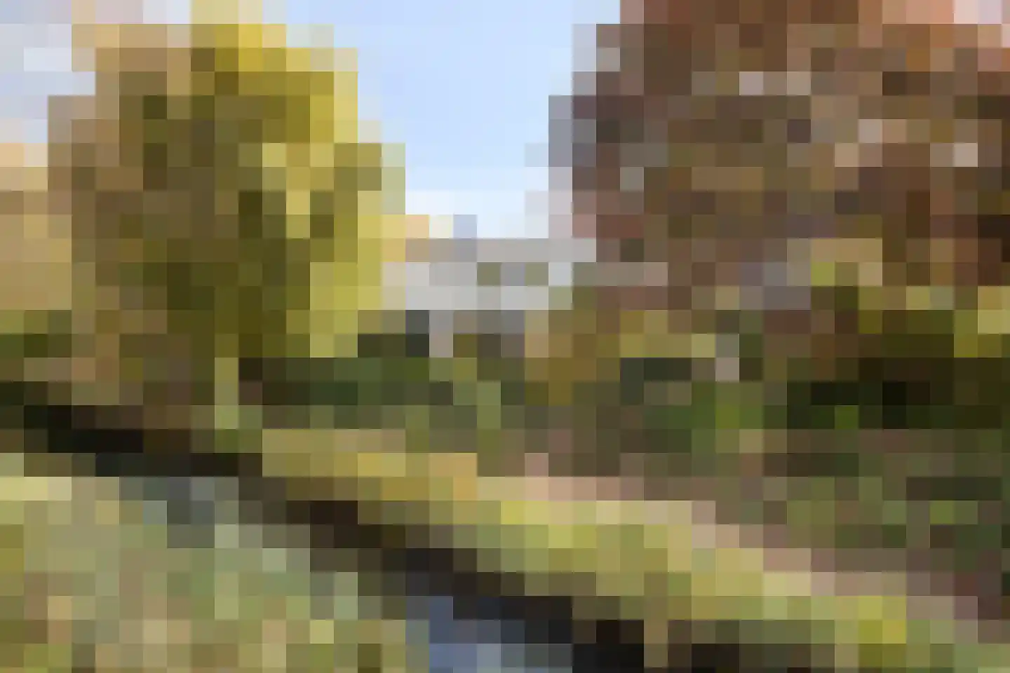 Kruidentuin 1 Barendrecht thumbnail 38