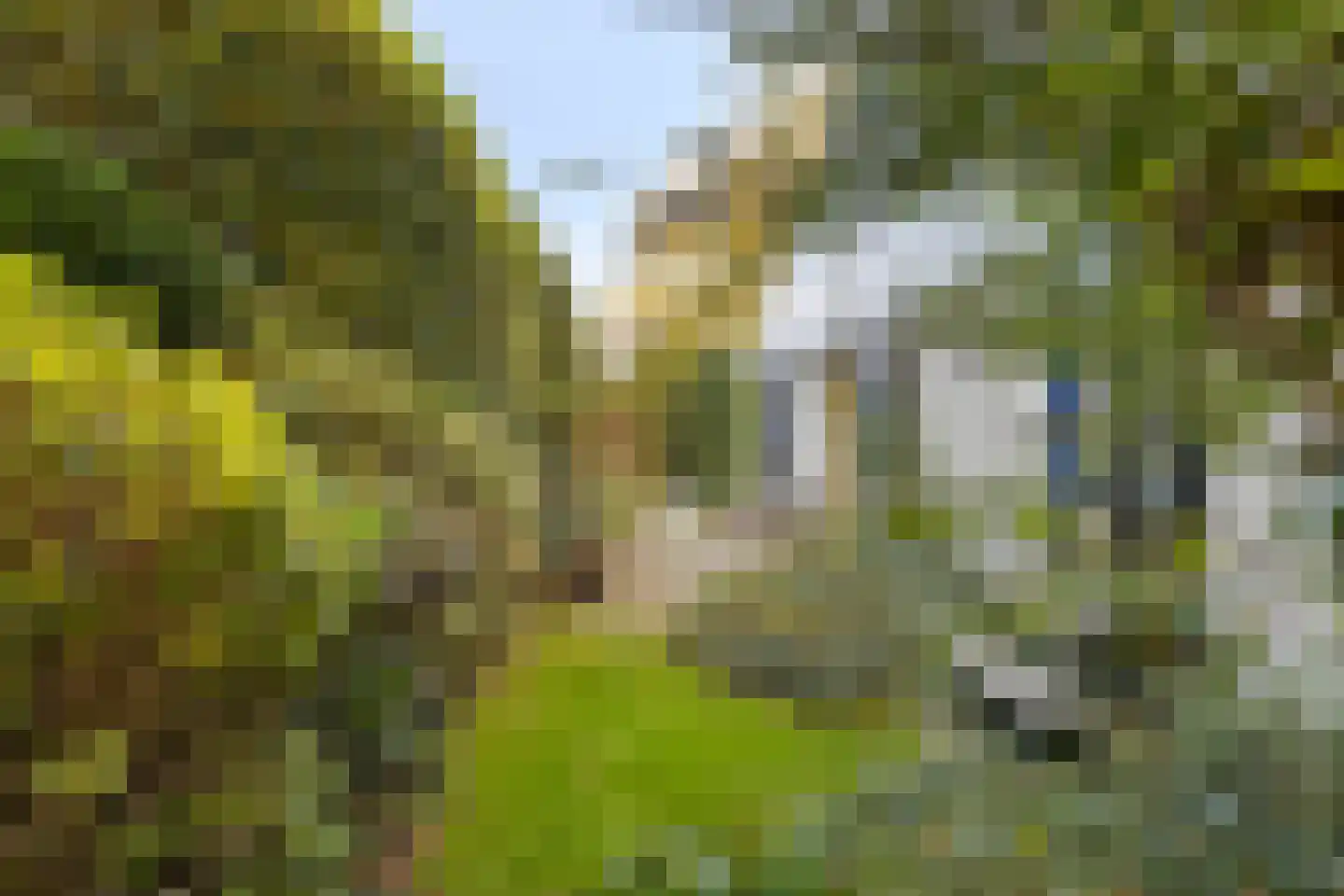 Kruidentuin 1 Barendrecht thumbnail 41