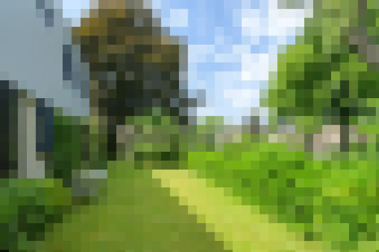 Kruidentuin 1 Barendrecht thumbnail 42