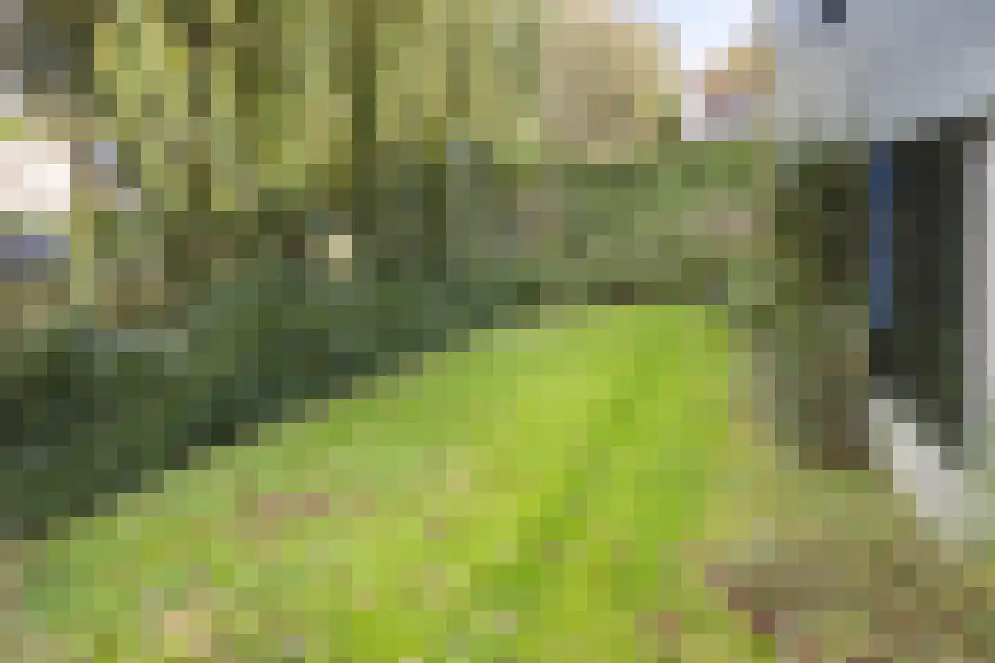 Kruidentuin 1 Barendrecht thumbnail 43
