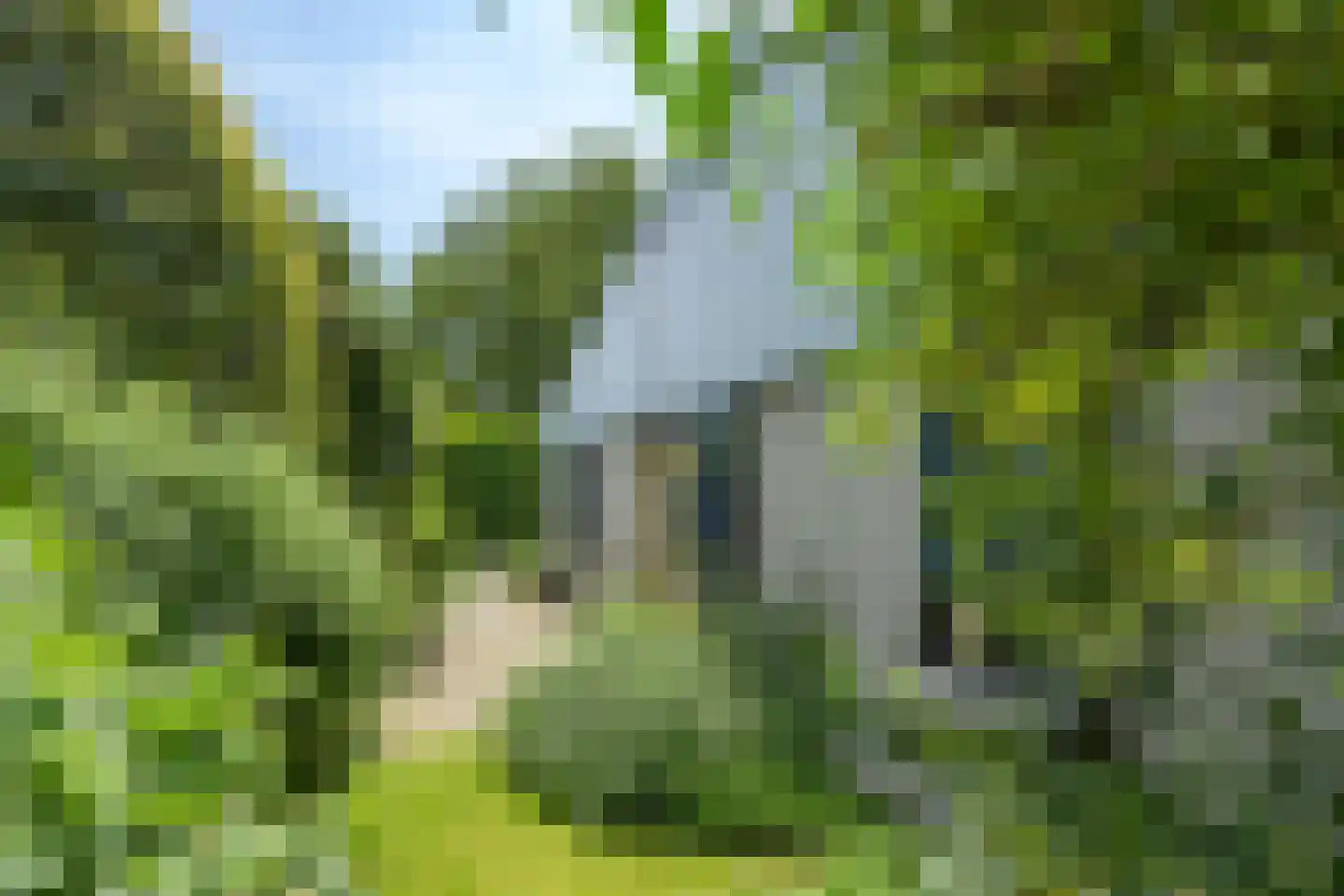 Kruidentuin 1 Barendrecht thumbnail 44