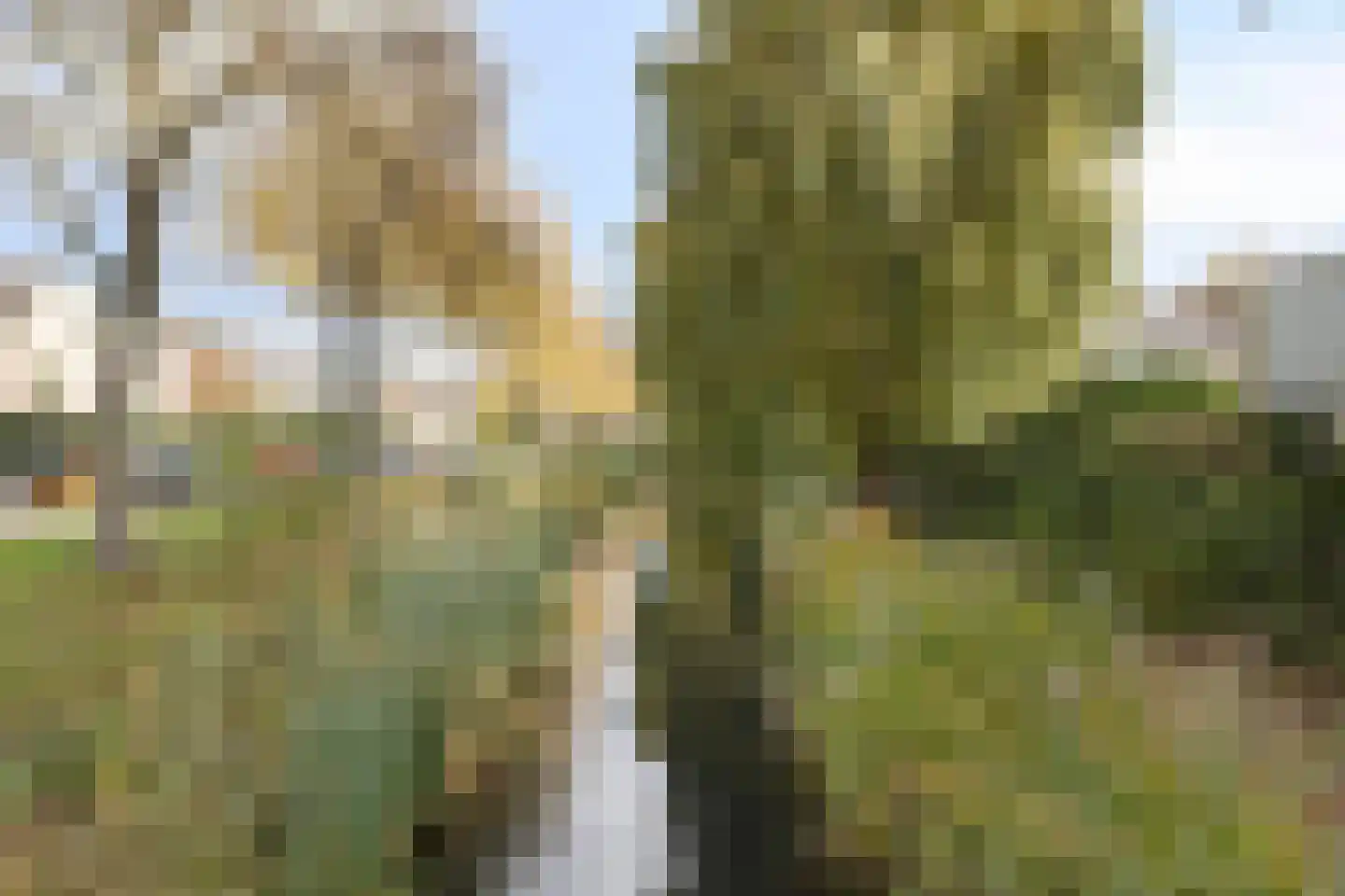 Kruidentuin 1 Barendrecht thumbnail 44
