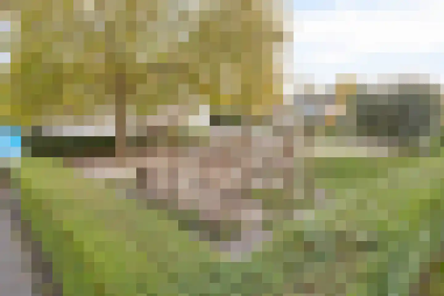 Kruidentuin 1 Barendrecht thumbnail 45