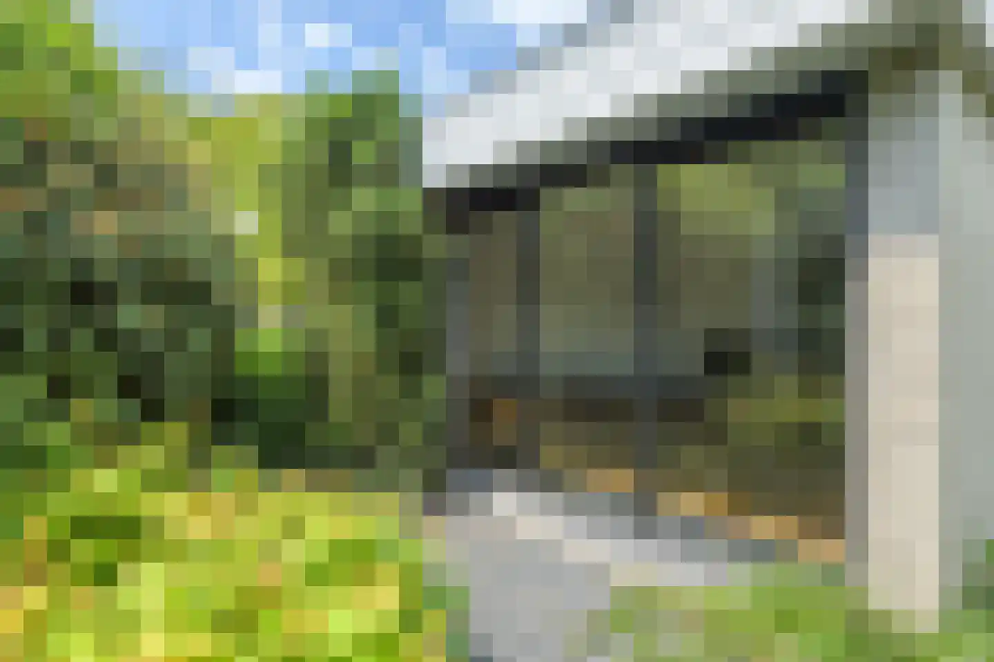 Kruidentuin 1 Barendrecht thumbnail 46
