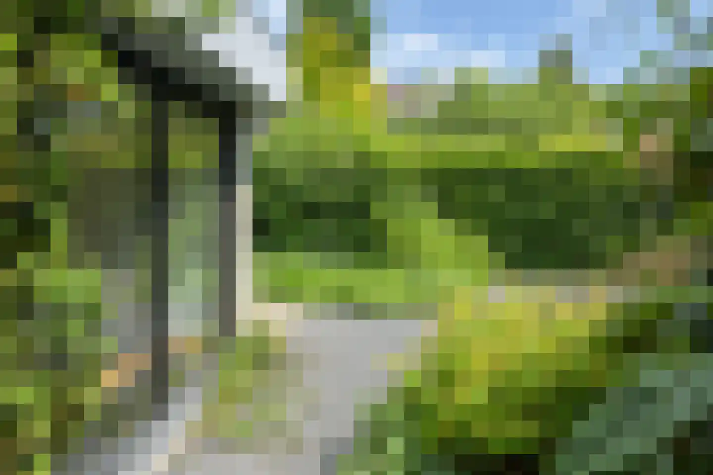 Kruidentuin 1 Barendrecht thumbnail 47