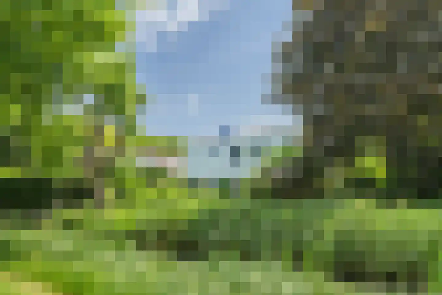 Kruidentuin 1 Barendrecht thumbnail 50