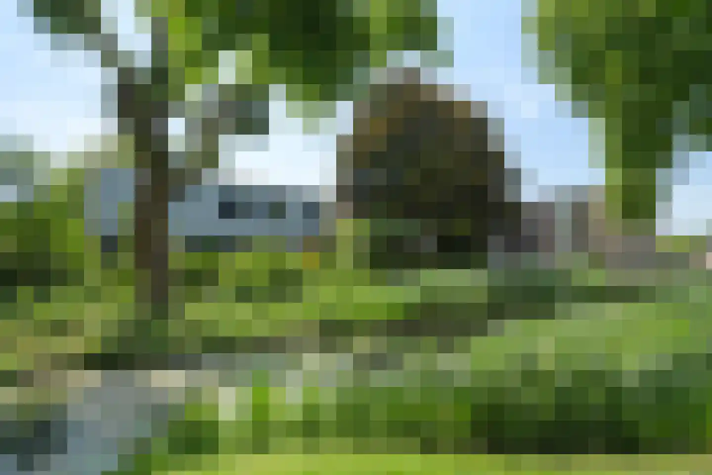 Kruidentuin 1 Barendrecht thumbnail 53