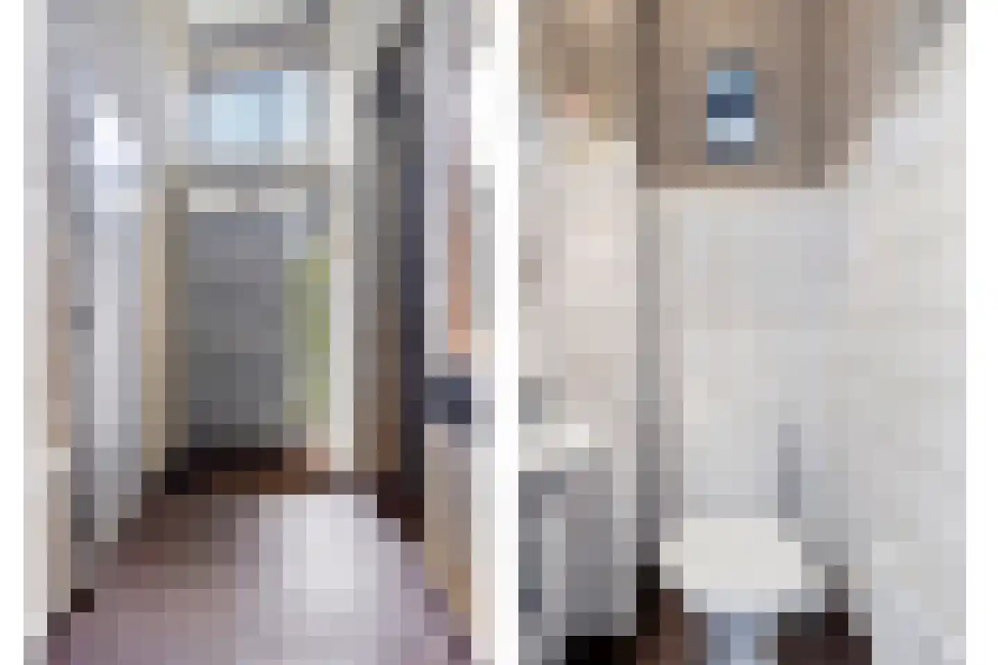 Kruidentuin 1 Barendrecht thumbnail 7