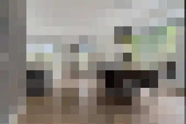 Kruidentuin 10 Emmen thumbnail 10