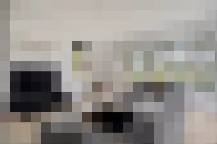 Kruidentuin 10 Emmen thumbnail 12