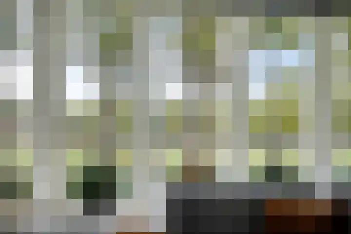 Kruidentuin 10 Emmen thumbnail 14