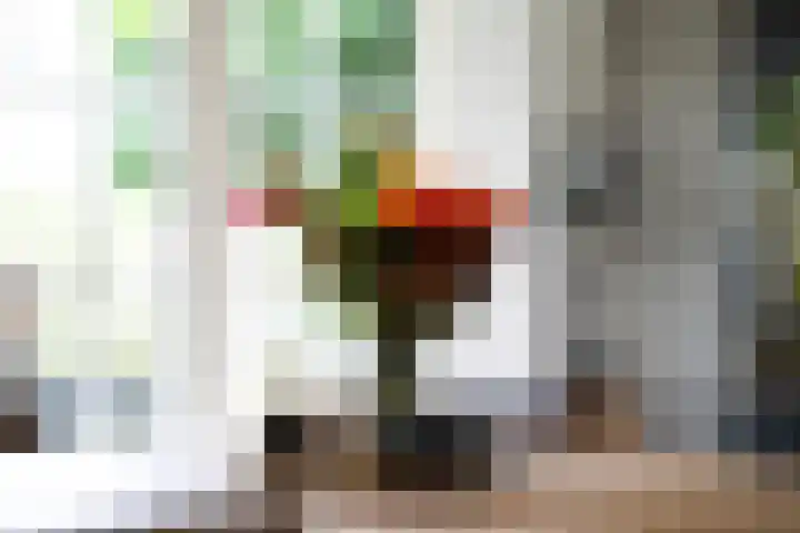 Kruidentuin 10 Emmen thumbnail 16
