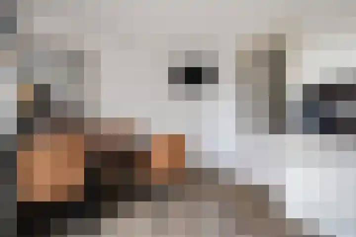 Kruidentuin 10 Emmen thumbnail 20