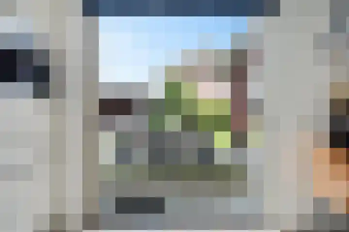 Kruidentuin 10 Emmen thumbnail 22