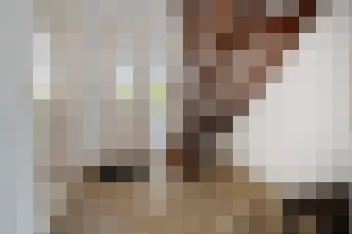 Kruidentuin 10 Emmen thumbnail 26