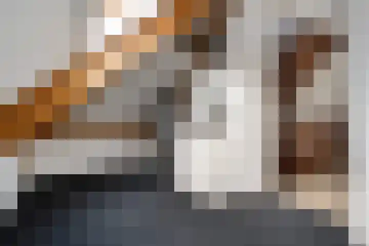 Kruidentuin 10 Emmen thumbnail 38