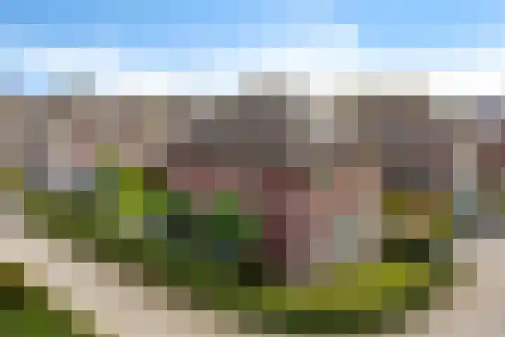 Kruidentuin 10 Emmen thumbnail 4