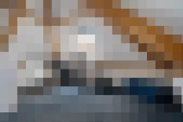 Kruidentuin 10 Emmen thumbnail 40