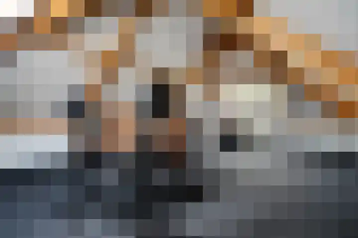 Kruidentuin 10 Emmen thumbnail 42
