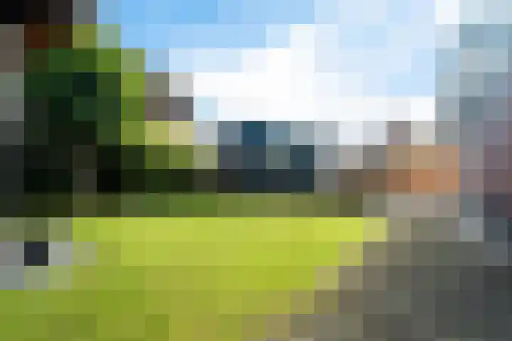 Kruidentuin 10 Emmen thumbnail 47