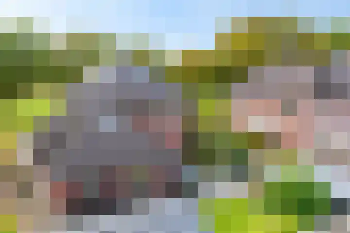 Kruidentuin 10 Emmen thumbnail 48