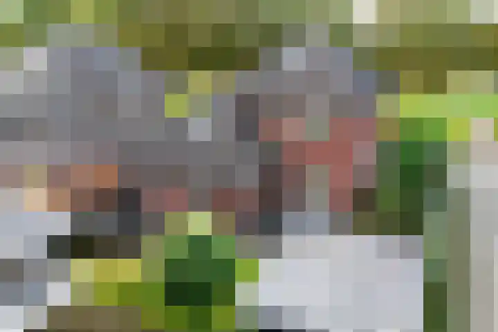 Kruidentuin 10 Emmen thumbnail 49
