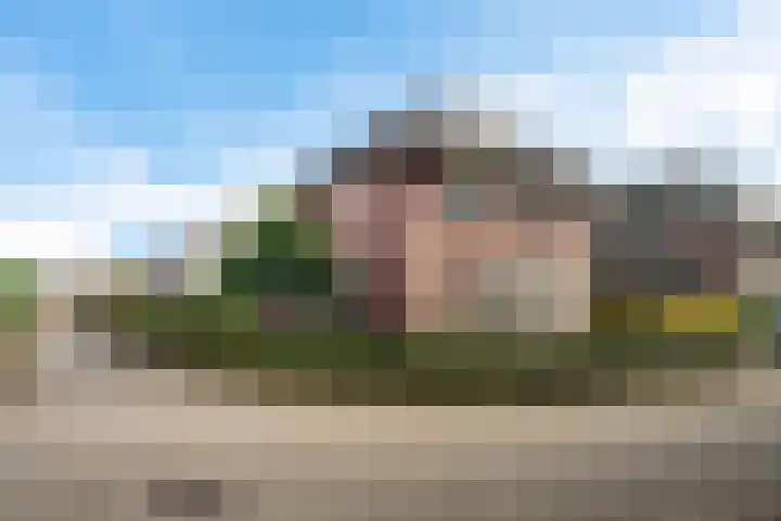 Kruidentuin 10 Emmen thumbnail 5