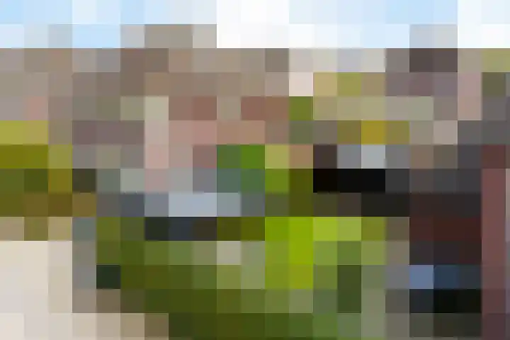 Kruidentuin 10 Emmen thumbnail 50