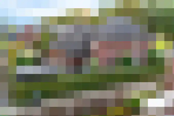 Kruidentuin 10 Emmen thumbnail 51