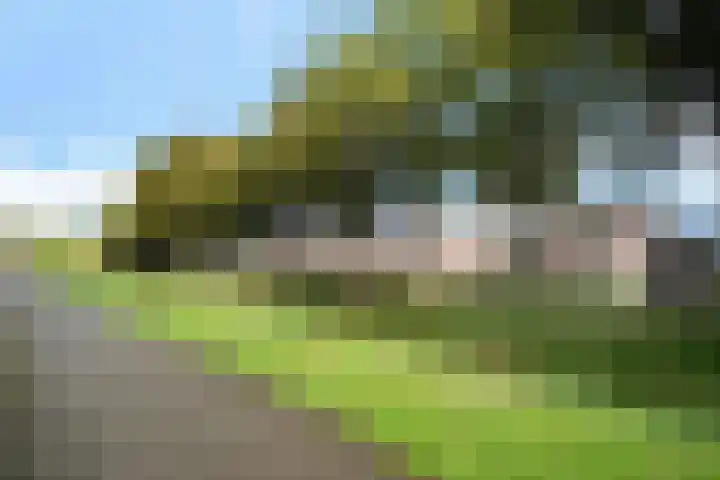 Kruidentuin 10 Emmen thumbnail 52