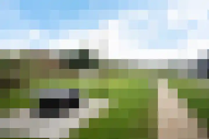 Kruidentuin 10 Emmen thumbnail 53