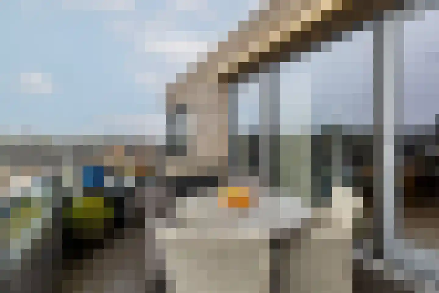 Kruidentuin 2 r Barendrecht thumbnail 21