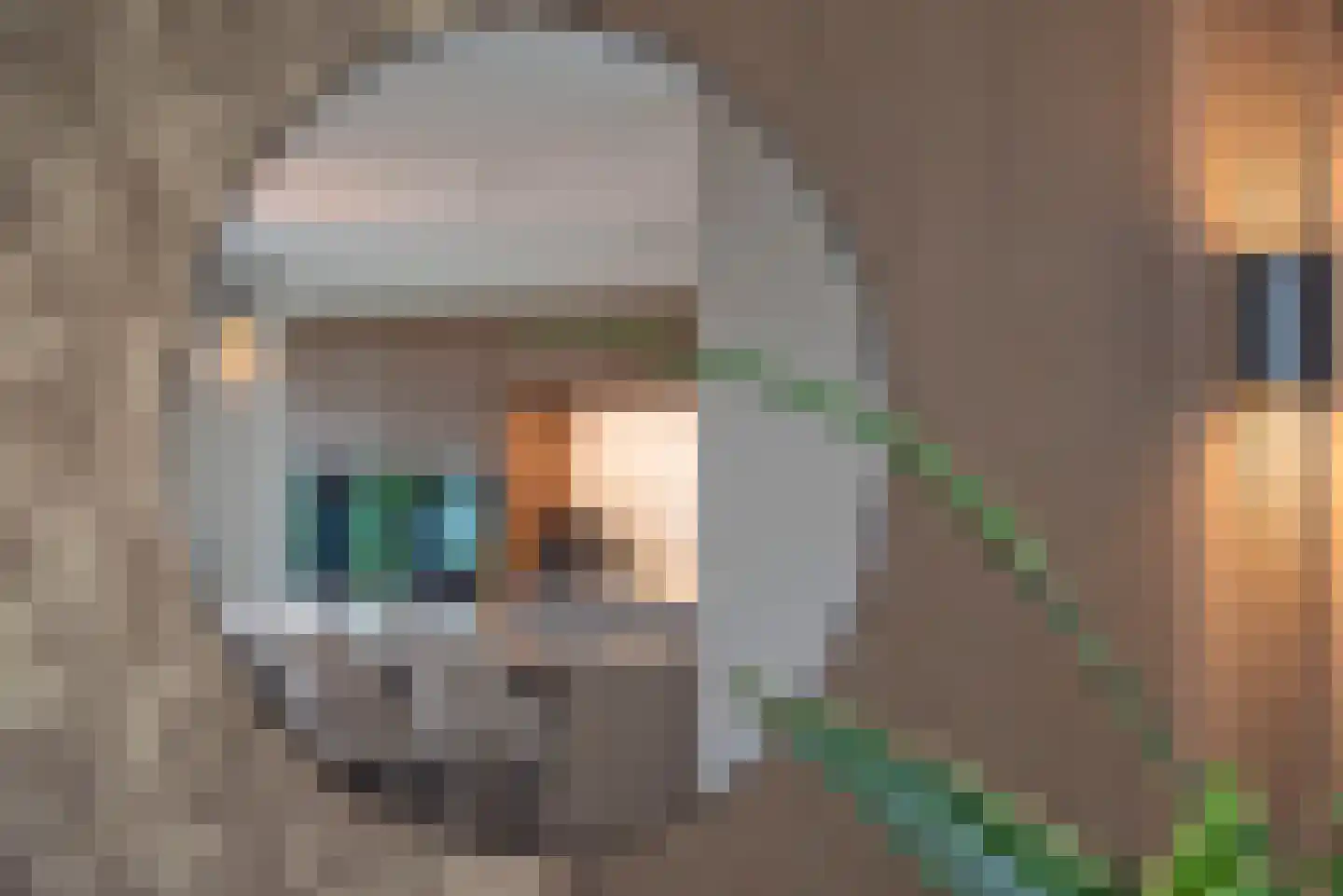 Kruidentuin 31 Rijssen thumbnail 11