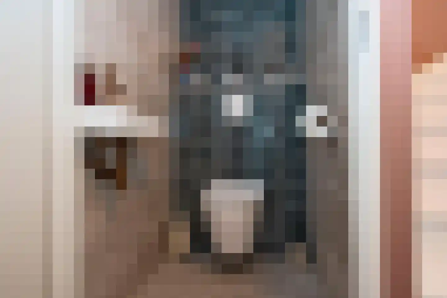 Kruidentuin 31 Rijssen thumbnail 6