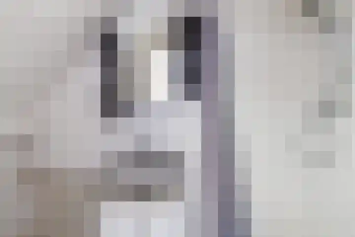 Kruidentuinen 19 Den Haag thumbnail 15