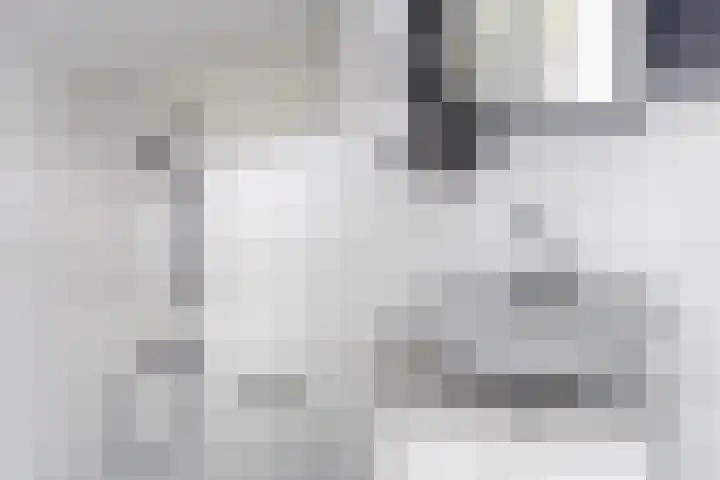 Kruidentuinen 19 Den Haag thumbnail 16