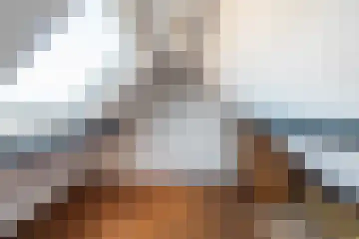Kruidentuinen 19 Den Haag thumbnail 18