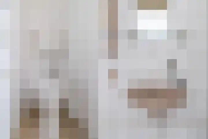 Kruidentuinen 19 Den Haag thumbnail 20