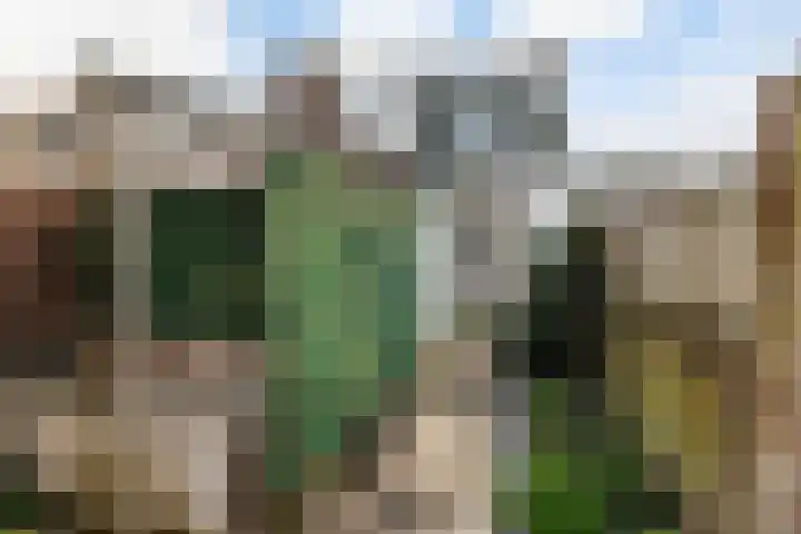 Kruidentuinen 19 Den Haag thumbnail 21