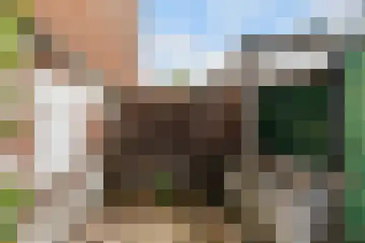 Kruidentuinen 19 Den Haag thumbnail 23