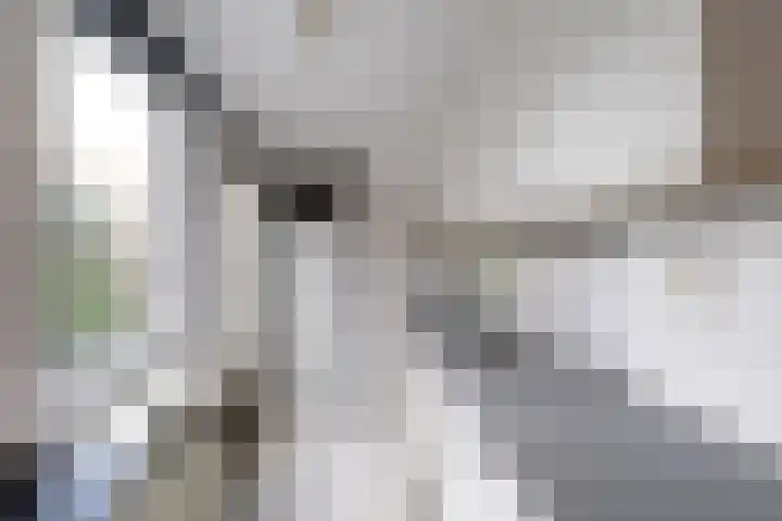Kruidentuinen 19 Den Haag thumbnail 7