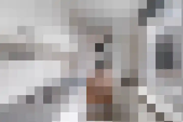 Kruidentuinen 19 Den Haag thumbnail 8